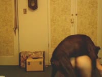 Sexy babe with big ass got smashed by dog's cock